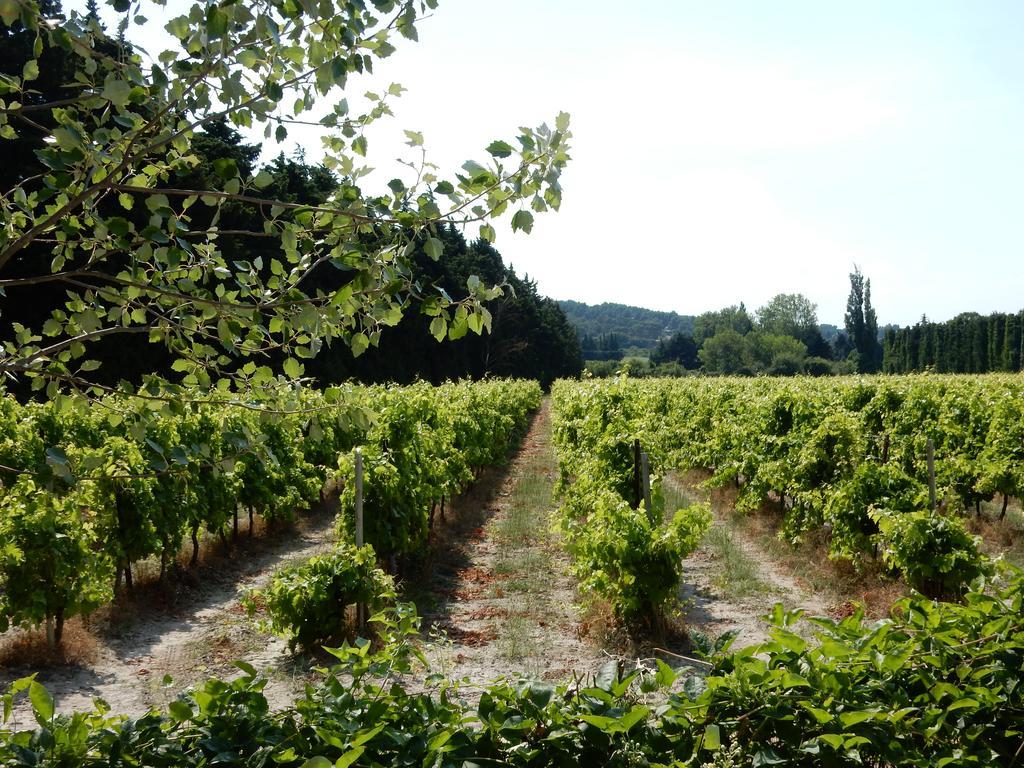 Domaine De Blanche Fleur Hotell Châteauneuf-de-Gadagne Eksteriør bilde