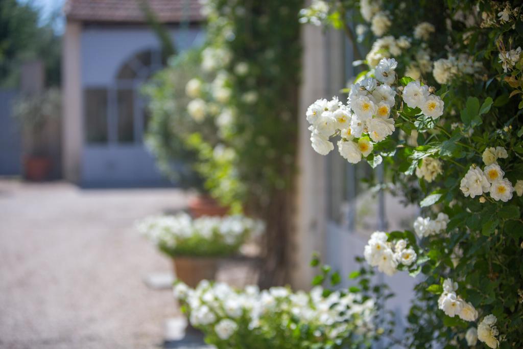 Domaine De Blanche Fleur Hotell Châteauneuf-de-Gadagne Eksteriør bilde